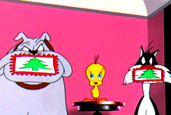 Gif animé titi